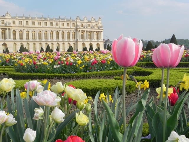 versailles3