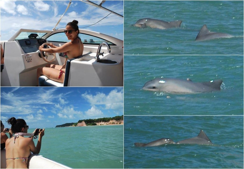 Golfinhos-paia-de-pipa-rn