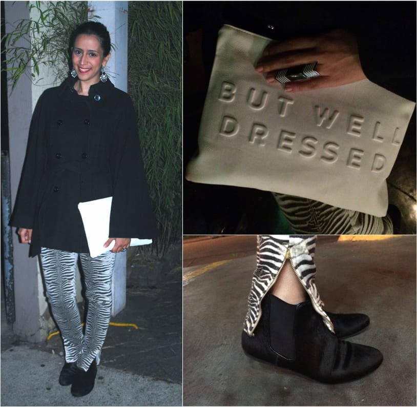 look-do-dia-zebra