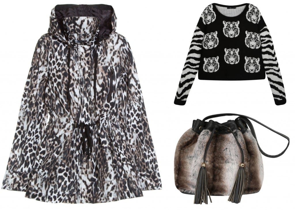 Riachue-Inverno-2015