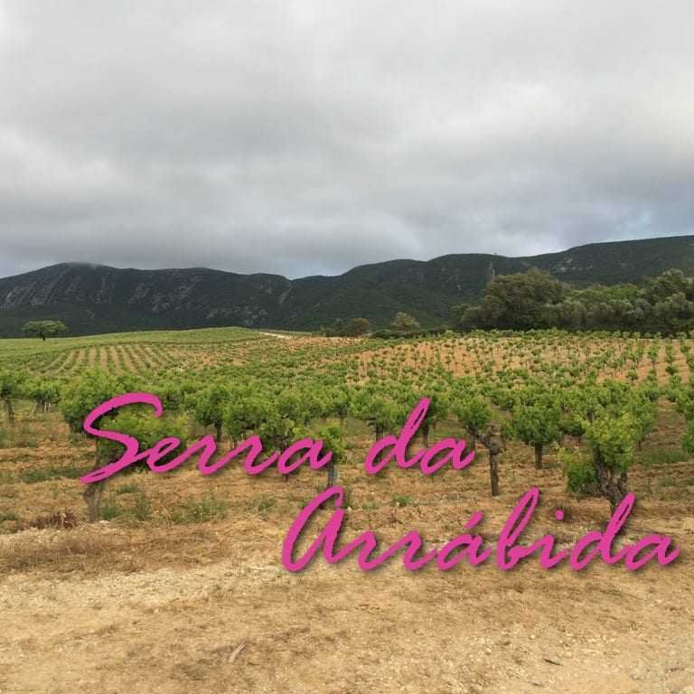 Turismo em Portugal: Serra da Arrábida!