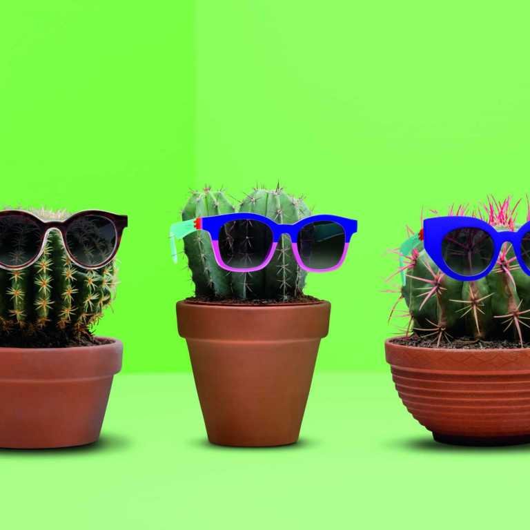 Customize seus óculos!