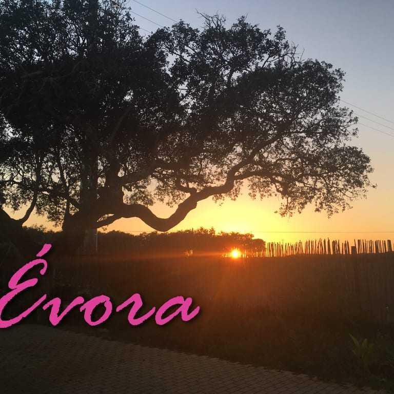 EcorKHotel: Um fim de semana para relaxar em Évora!