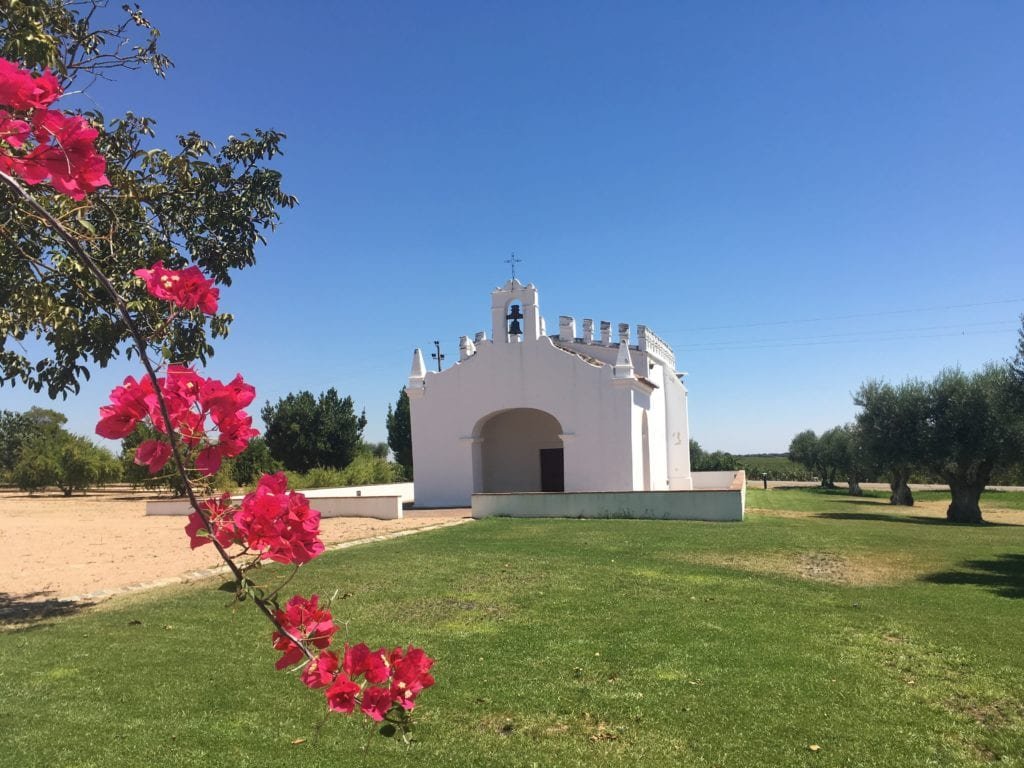 Enoturismo em Portugal