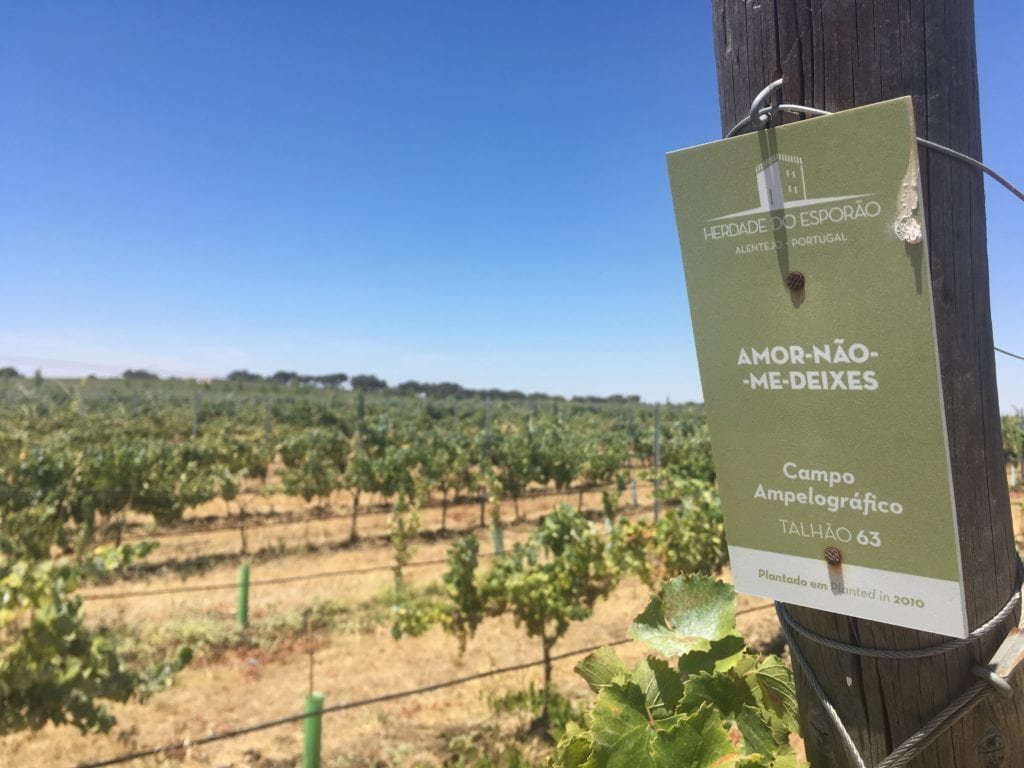 Enoturismo em Portugal