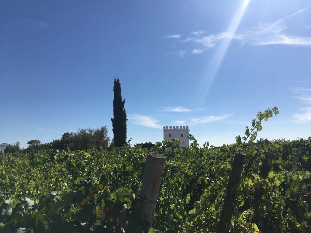 Enoturismo em Portugal