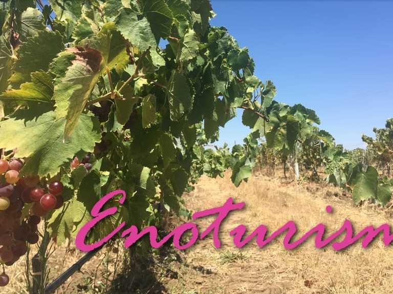 Enoturismo em Portugal: Herdade do Esporão!