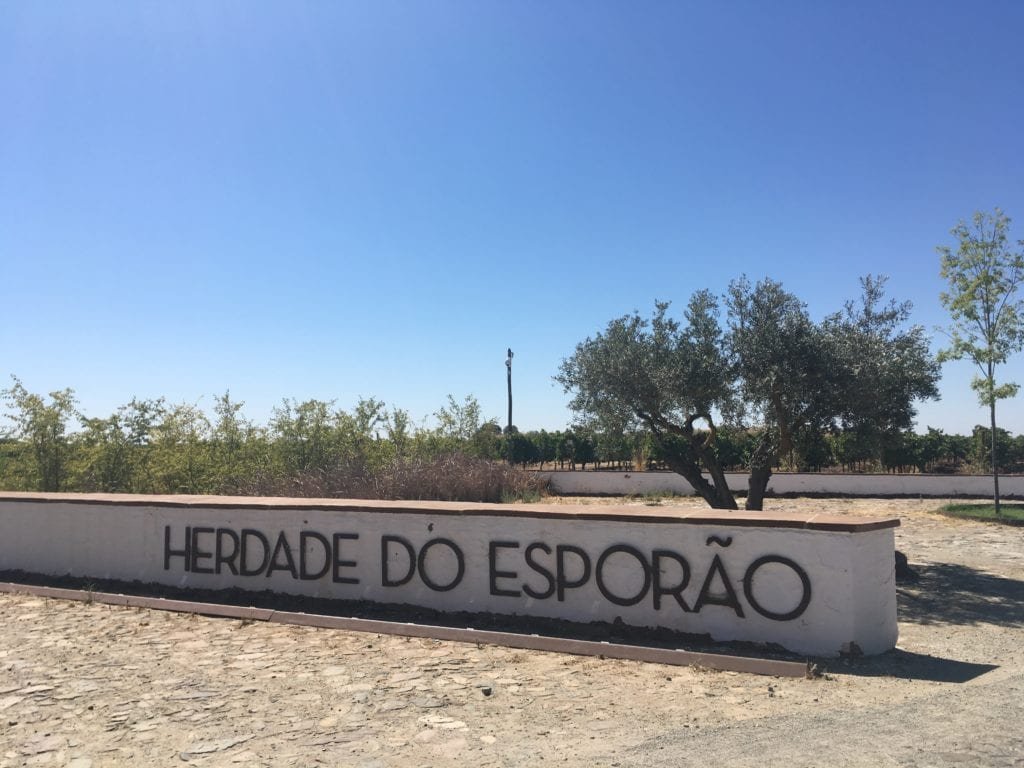 Enoturismo em Portugal