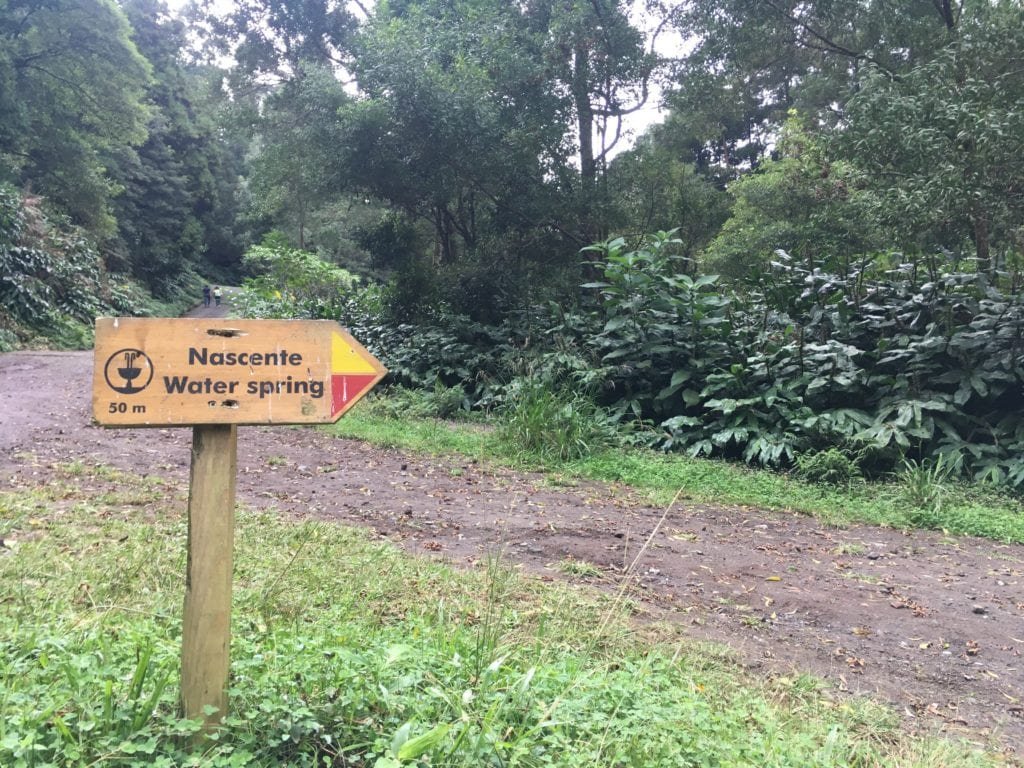 São Miguel, Açores