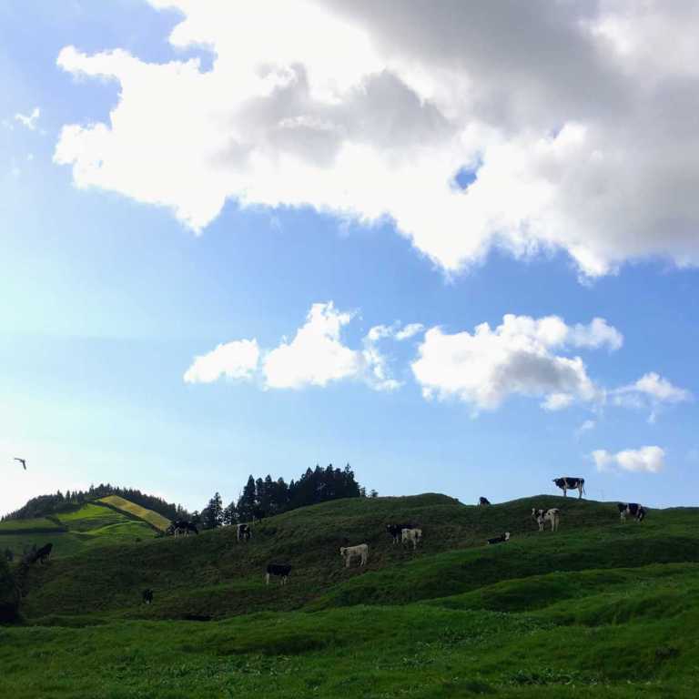 Fim de Semana nos Açores!