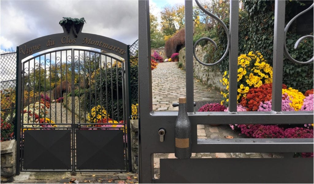 Vinhedo de Montmartre em Paris