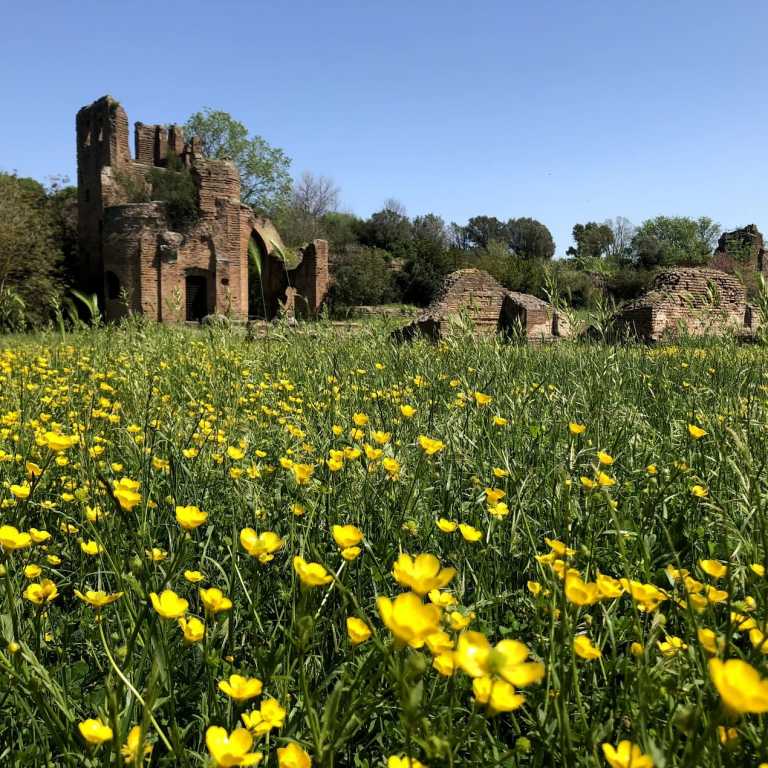 Passeio pela Via Appia em Roma!