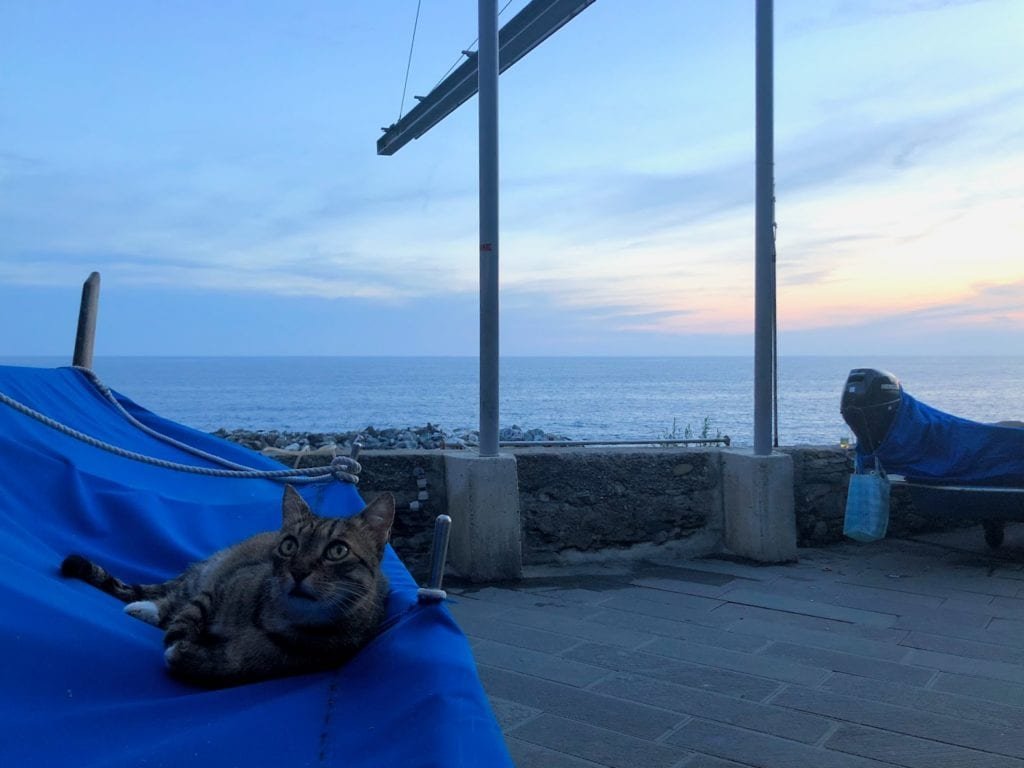 cinque-terre-italia-sunset