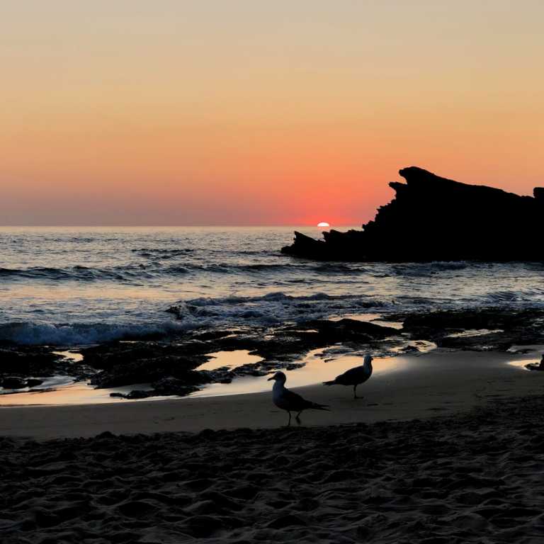 Zambujeira do Mar!