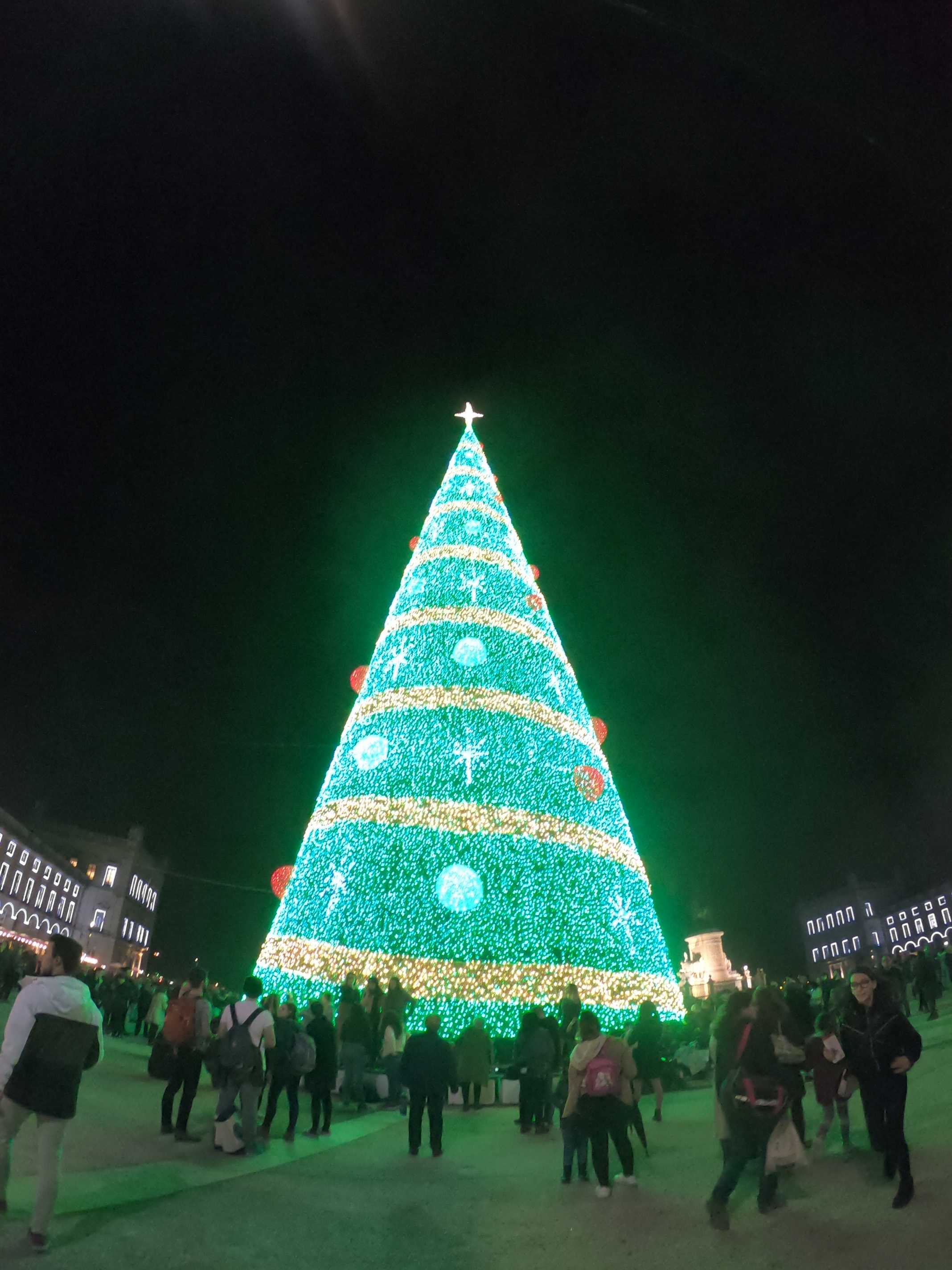 Árvore de Natal Lisboa