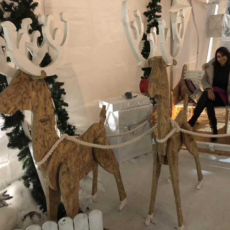 Natal Branco: o Natal de Castelo Branco!