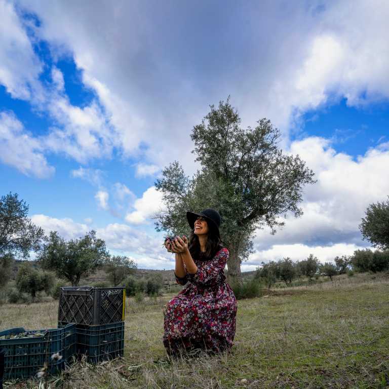 O azeite da Beira Baixa!
