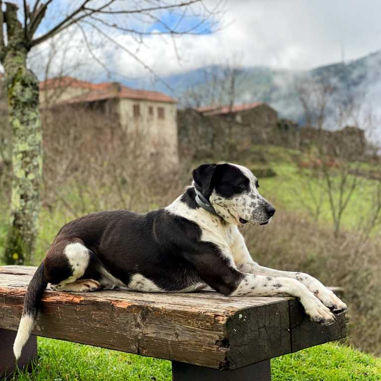 Aldeias de Xisto!