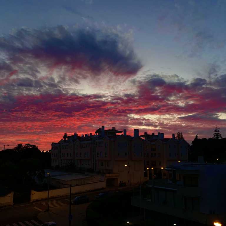 #DeQuarentenaComALuli – Semana 4