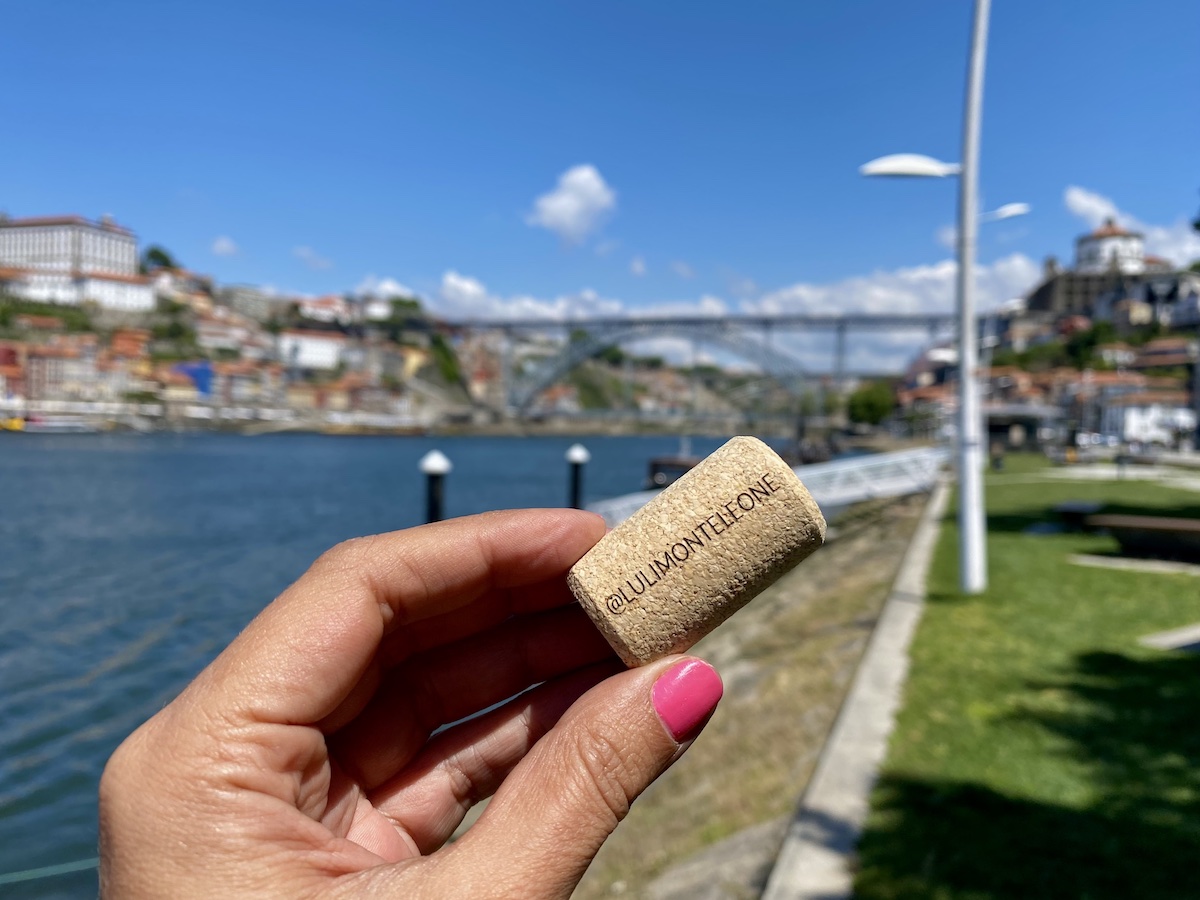wow porto world of wine portugal