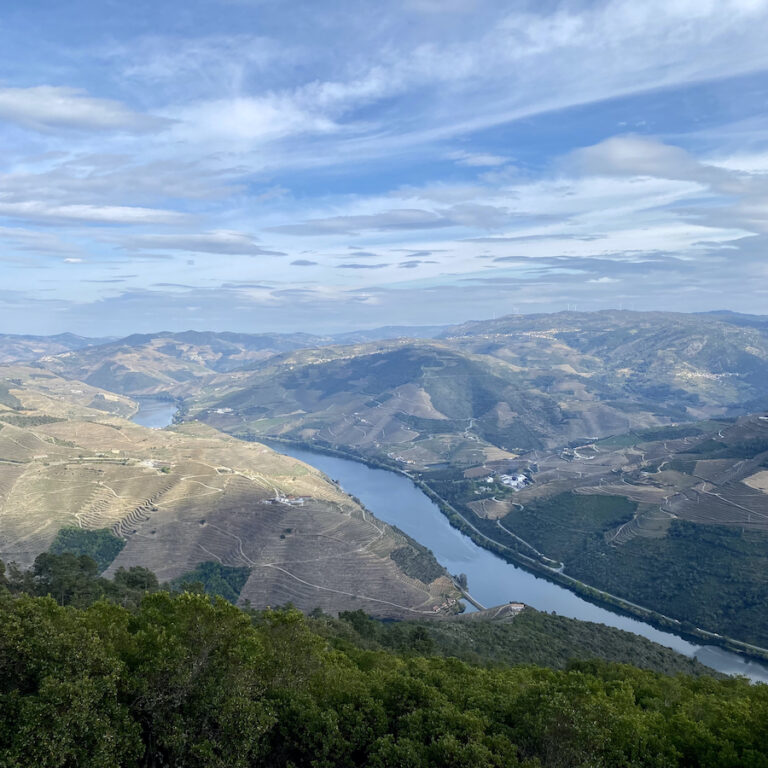 O que visitar em Peso da Régua, no Douro!
