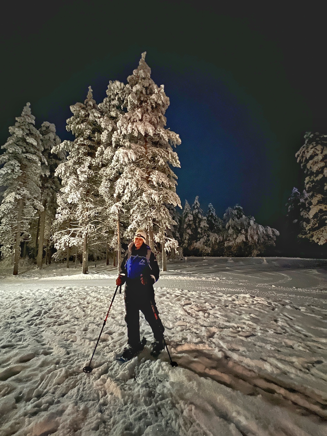 snowshoeing laponia finlandia