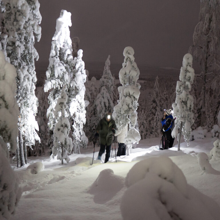 Snowshoeing na Lapônia!