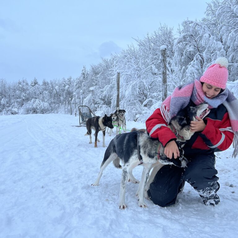 Dirigindo um trenó de Huskies!