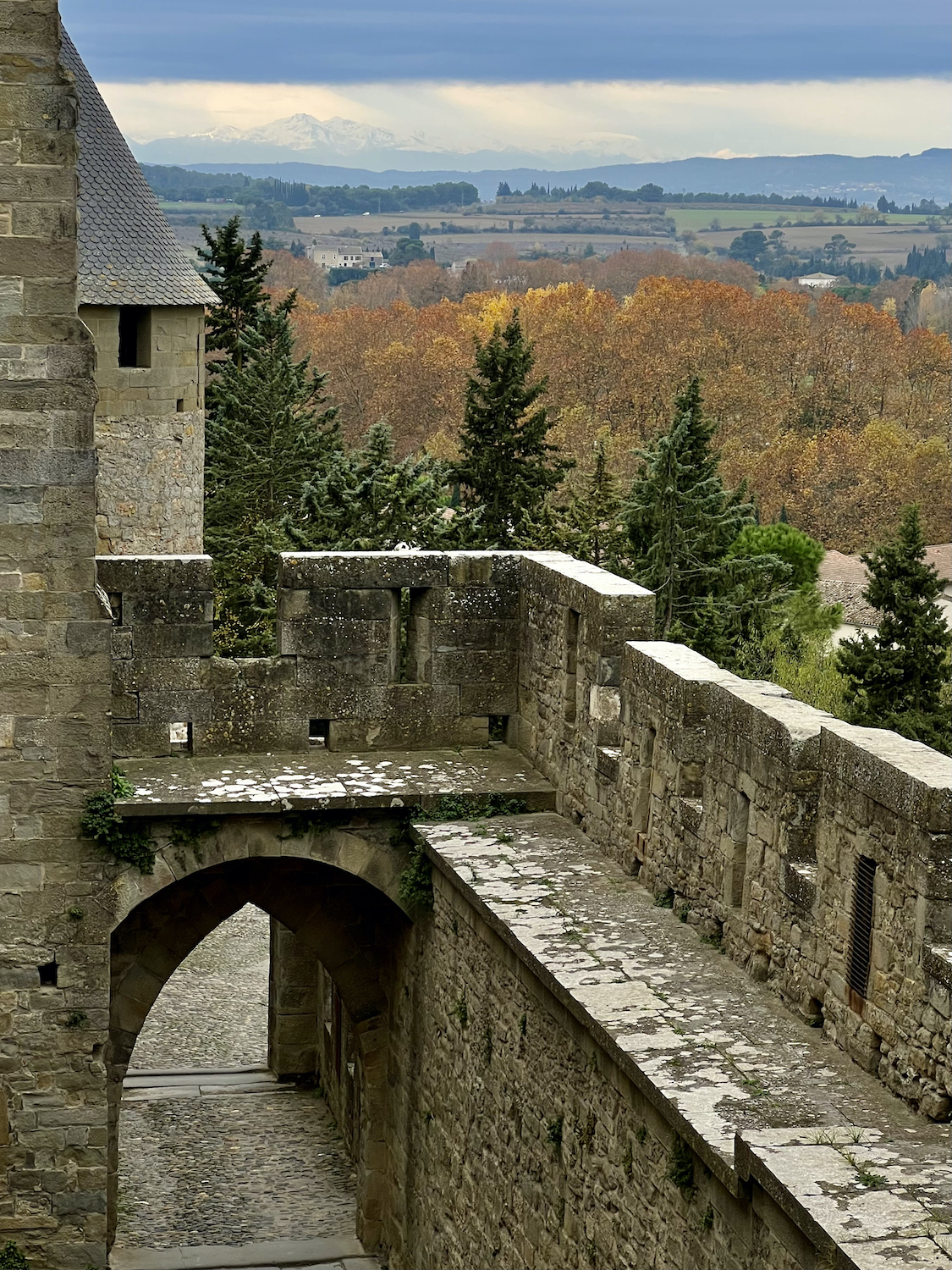 carcassonne castelo