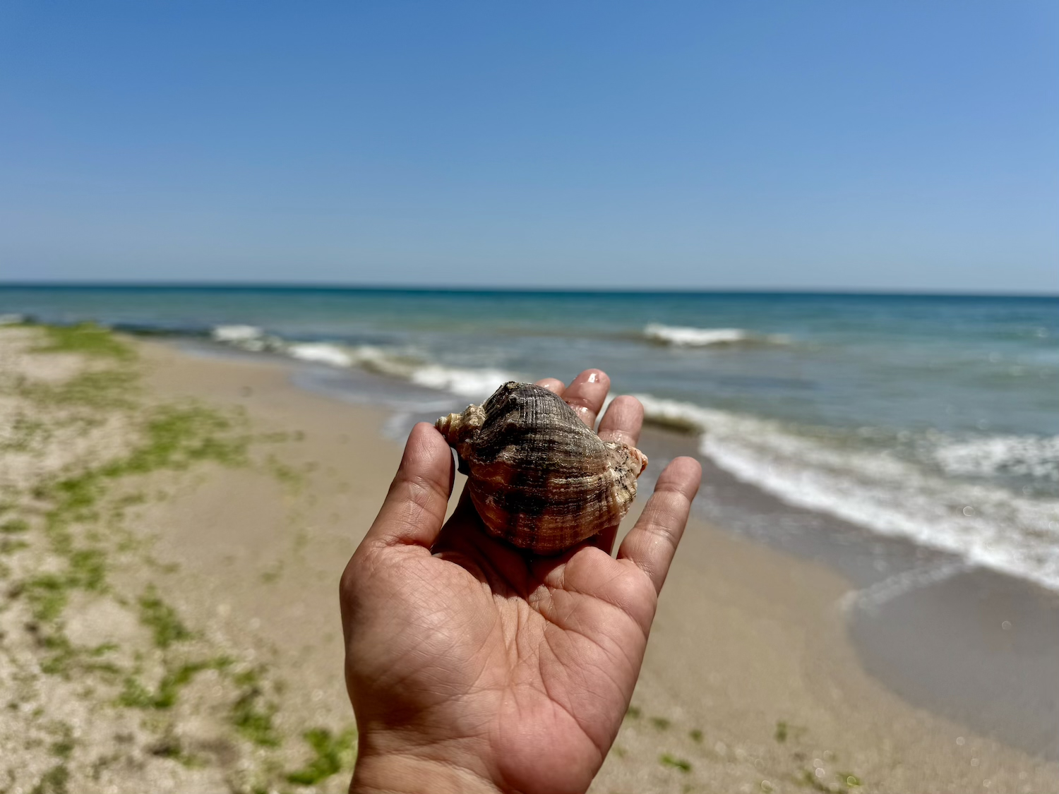 verão europeu romenia