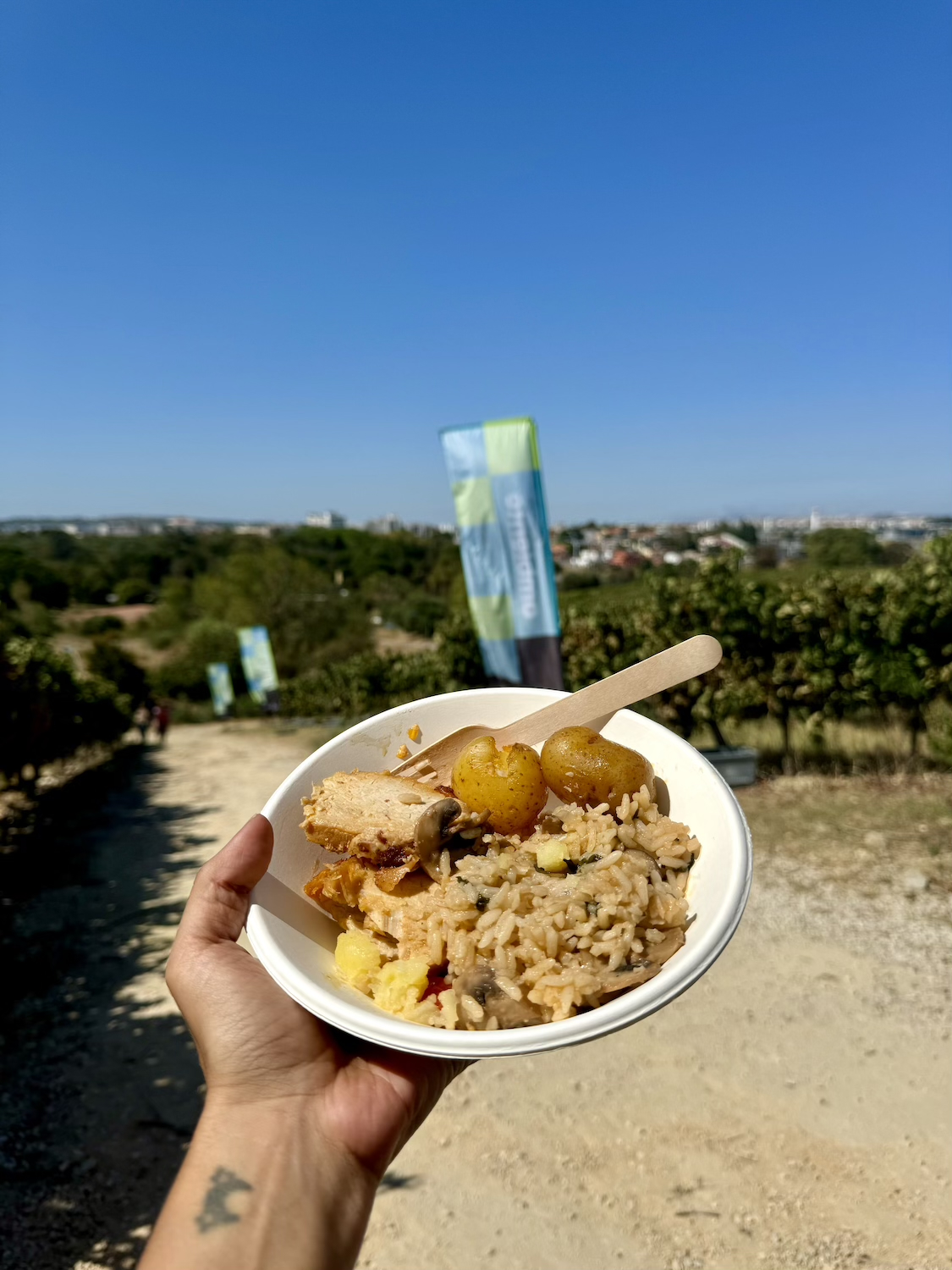 mata bicho vindima