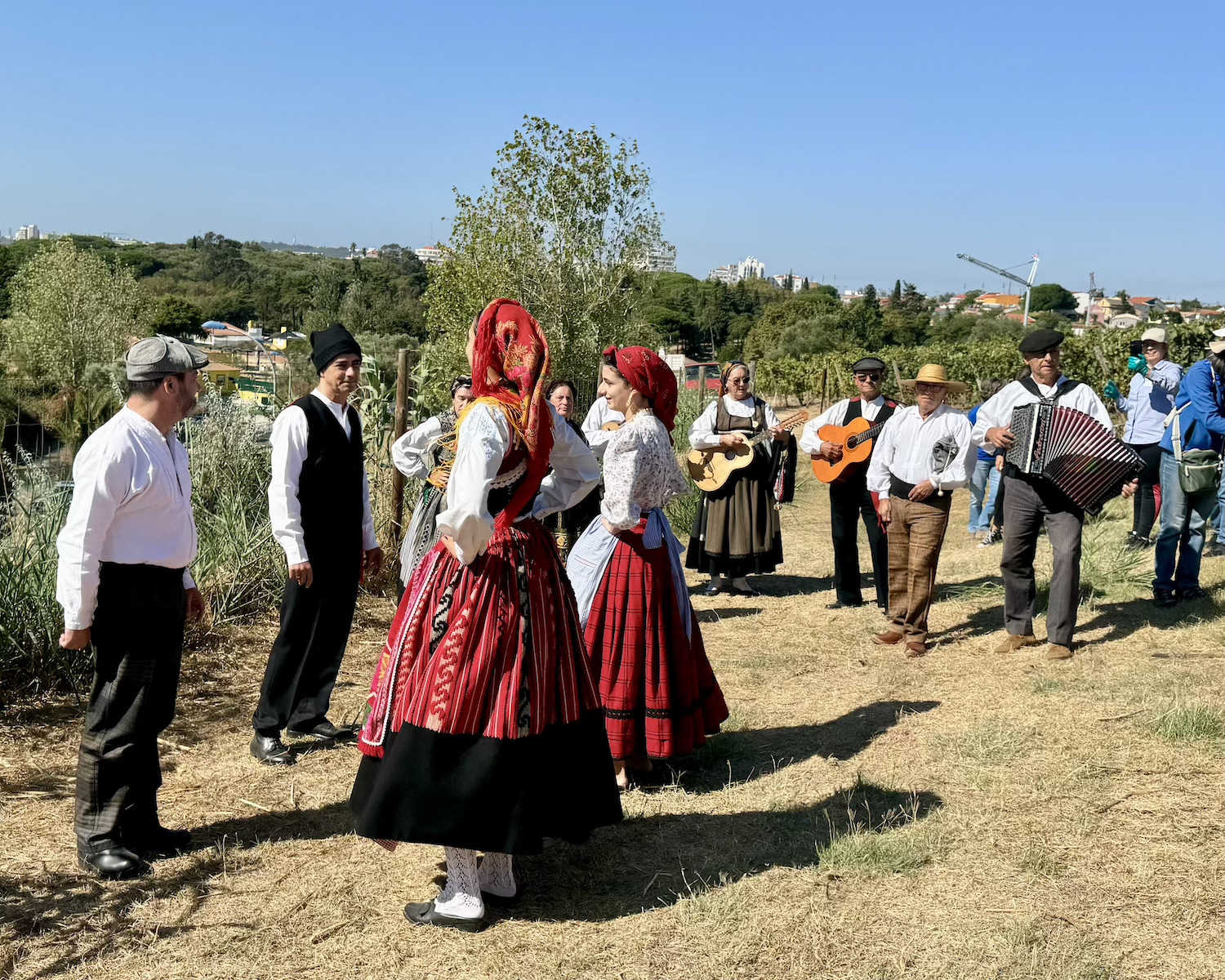 musica vindima lisboa