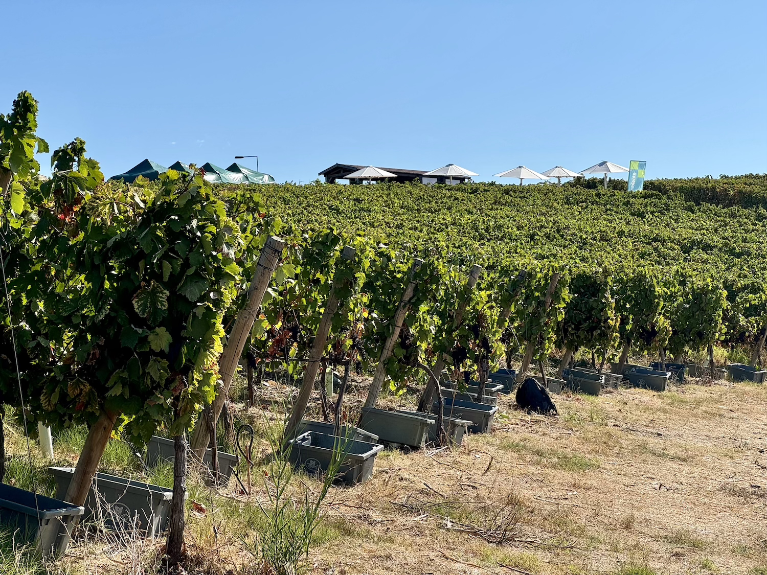 parque vinicola lisboa