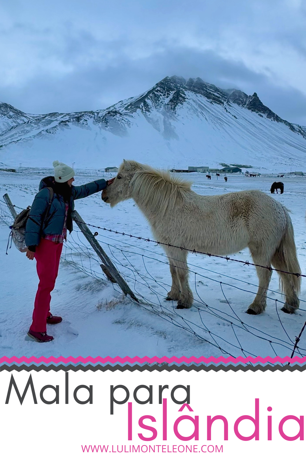 mala islandia