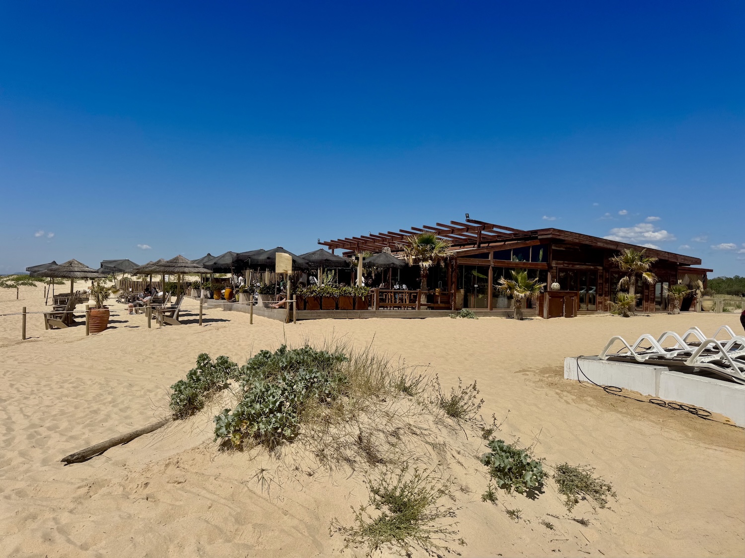 onde comer comporta