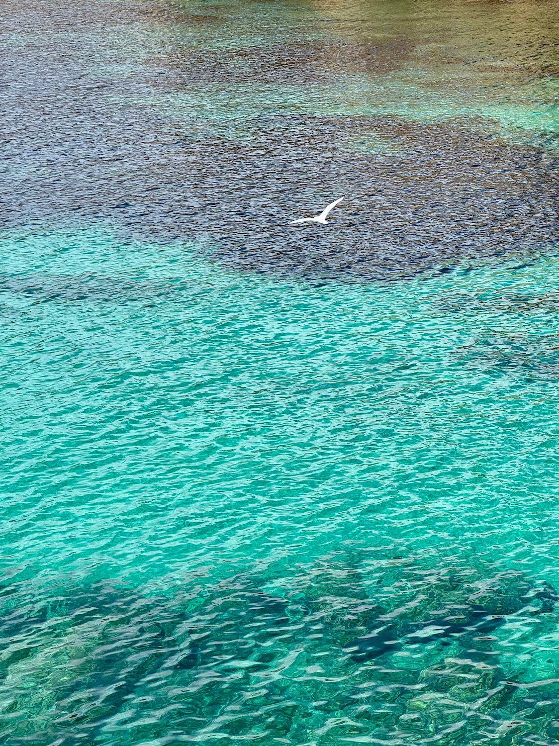 formentera bate volta