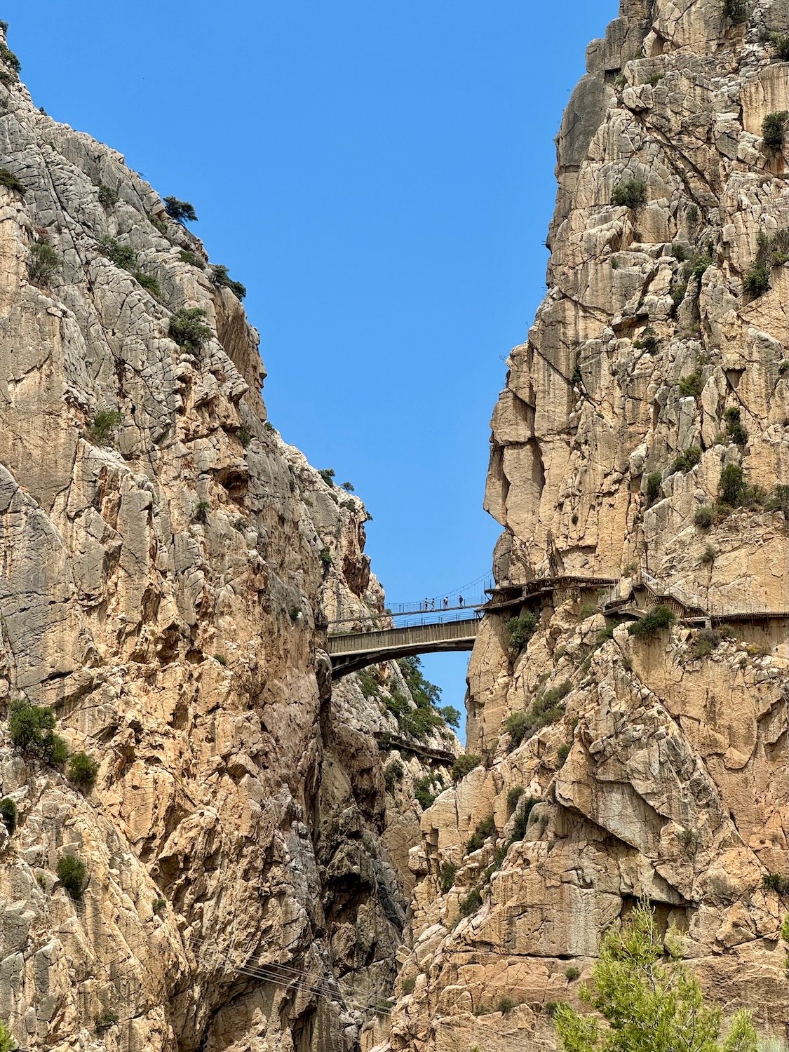 ponte colgante caminito del rey