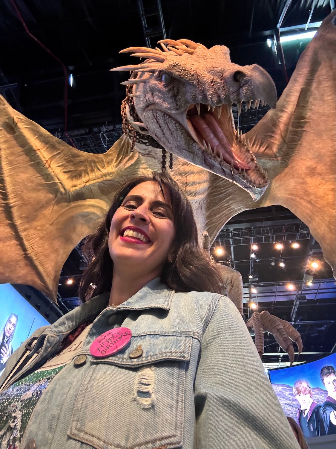 visitar estudios harry potter sozinha