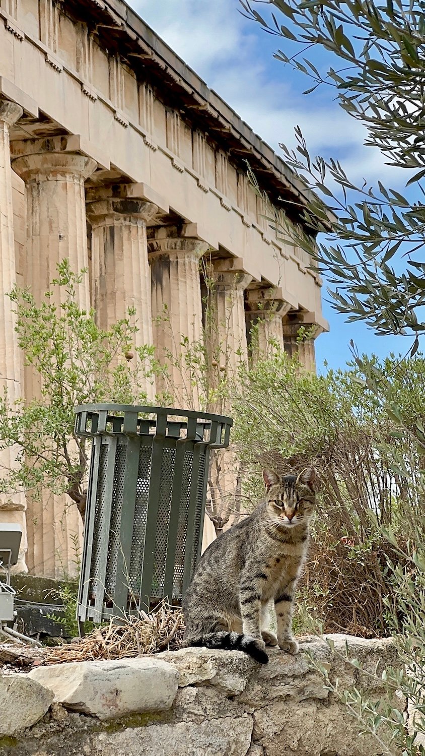 grécia atenas